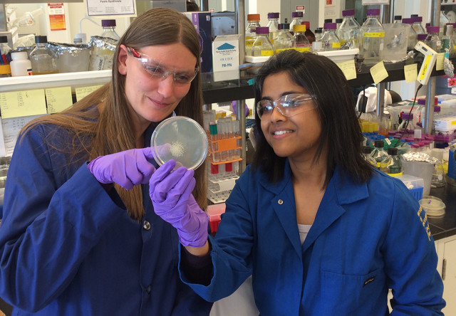 Two female researchers in safety glasses study a circular object