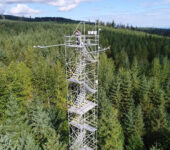 Two researchers stand at the top of a tower overlooking a forest.