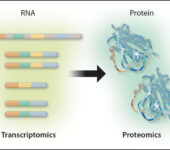 Examples of DNA for genomics, RNA for transcriptomics, proteins for proteomics, and metabolites for metabolomics.