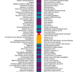 Chromosome graphic with list of traits.