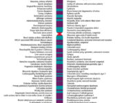 Chromosome graphic and list of related genes.