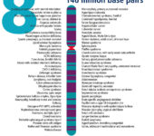 Chromosome and list of related traits.