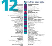 Chromosome and list of related traits.