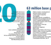 Chromosome illustration and list of related traits.