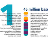 Illustrated chromosome and list of related traits.