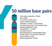 Chromosome illustration and list of related genes.