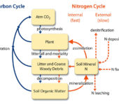 Diagram connecting the two processes with arrows.