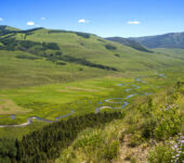 View of a valley with a river and flowers.