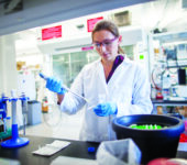 A researcher in a laboratory uses a pipette.