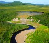 Overhead view of soil and stream with forest on both sides.
