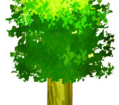 Illustration of a poplar tree.