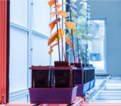 Potted plants lined up on a conveyor belt.