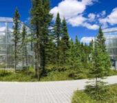 Trees surround a walkway and two research enclosures.