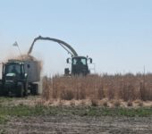 A truck driving alongside a field while a tracter harvests the crops and loads them into the truckbed.