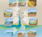 Various scales of river and ecosystem types overlaid on a flat stream graphic.